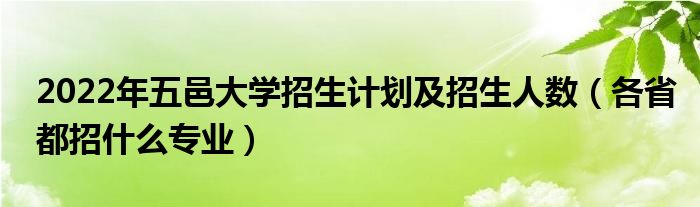 2022年五邑大学招生计划及招生人数（各省都招什么专业）