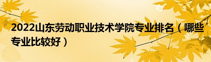 2022山东劳动职业技术学院专业排名（哪些专业比较好）