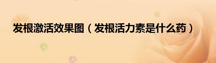 发根激活效果图（发根活力素是什么药）
