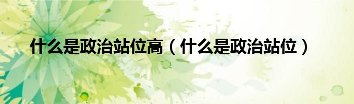 什么是政治站位高（什么是政治站位）