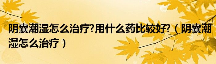 阴囊潮湿怎么治疗?用什么药比较好?（阴囊潮湿怎么治疗）