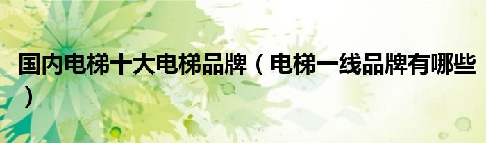 国内电梯十大电梯品牌（电梯一线品牌有哪些）