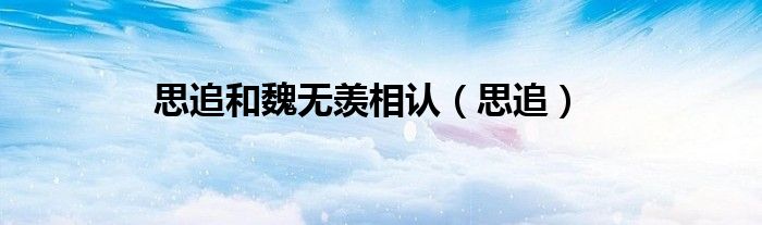 思追和魏无羡相认（思追）
