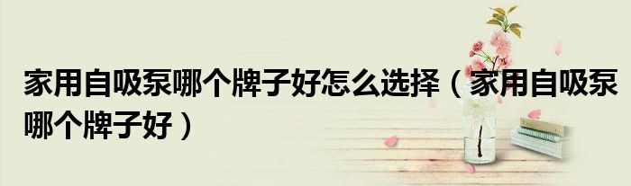 家用自吸泵哪个牌子好怎么选择（家用自吸泵哪个牌子好）