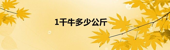 1千牛多少公斤