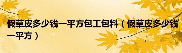 假草皮多少钱一平方包工包料（假草皮多少钱一平方）