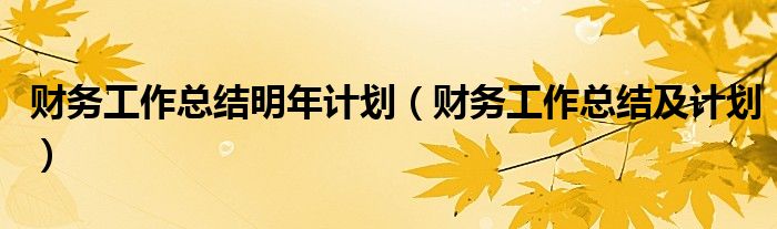 财务工作总结明年计划（财务工作总结及计划）