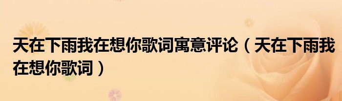 天在下雨我在想你歌词寓意评论（天在下雨我在想你歌词）