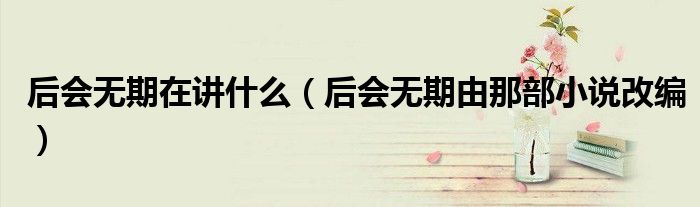 后会无期在讲什么（后会无期由那部小说改编）