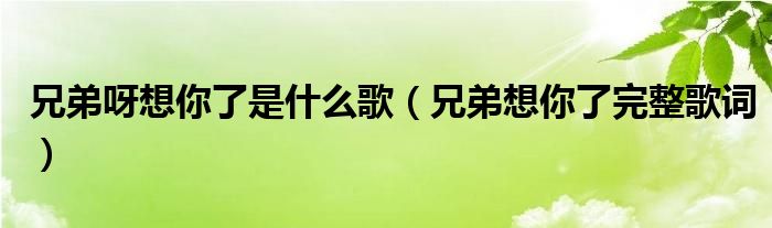 兄弟呀想你了是什么歌（兄弟想你了完整歌词）