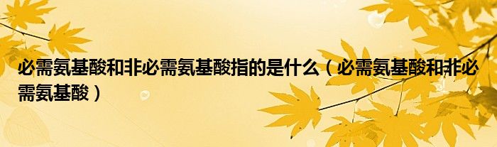 必需氨基酸和非必需氨基酸指的是什么（必需氨基酸和非必需氨基酸）