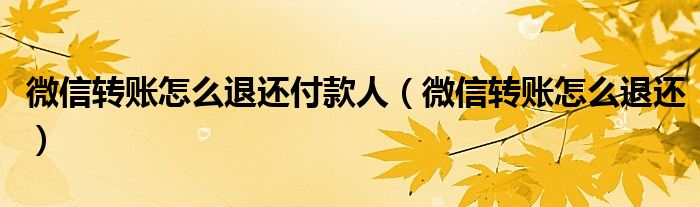 微信转账怎么退还付款人（微信转账怎么退还）