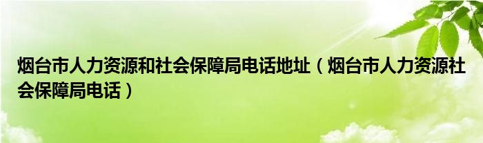 烟台市人力资源和社会保障局电话地址（烟台市人力资源社会保障局电话）