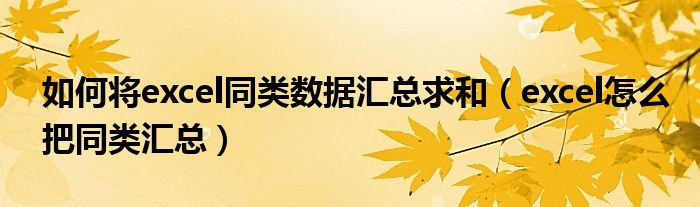 如何将excel同类数据汇总求和（excel怎么把同类汇总）