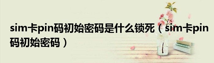 >sim卡pin码初始密码是什么锁死（sim卡pin码初始密码）