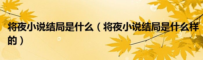 将夜小说结局是什么（将夜小说结局是什么样的）