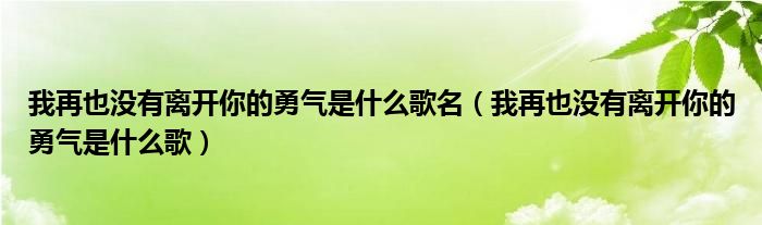 我再也没有离开你的勇气是什么歌名（我再也没有离开你的勇气是什么歌）