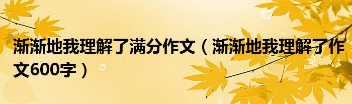 渐渐地我理解了满分作文（渐渐地我理解了作文600字）