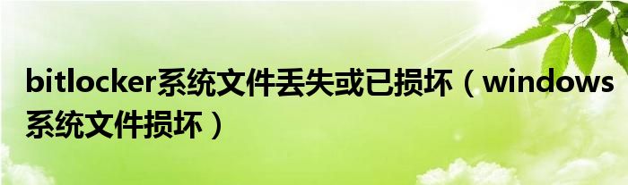 bitlocker系统文件丢失或已损坏（windows系统文件损坏）