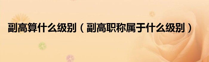 >副高算什么级别（副高职称属于什么级别）