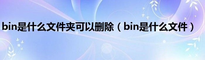 >bin是什么文件夹可以删除（bin是什么文件）