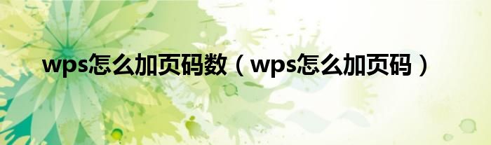 >wps怎么加页码数（wps怎么加页码）