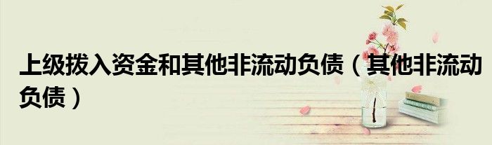 上级拨入资金和其他非流动负债（其他非流动负债）