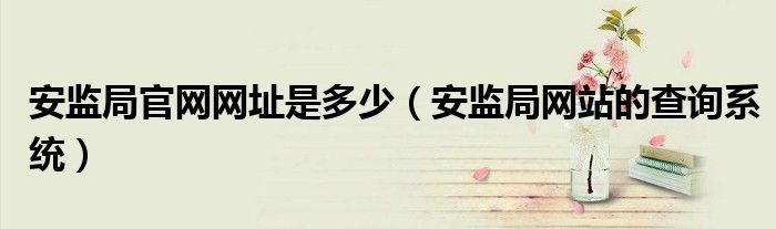 >安监局官网网址是多少（安监局网站的查询系统）