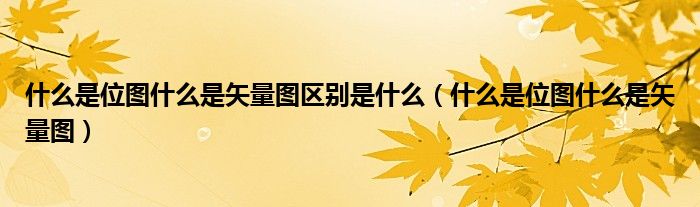 >什么是位图什么是矢量图区别是什么（什么是位图什么是矢量图）