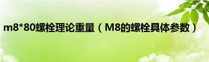m8*80螺栓理论重量（M8的螺栓具体参数）