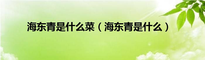 >海东青是什么菜（海东青是什么）