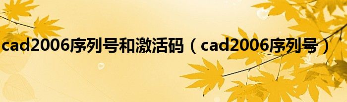 cad2006序列号和激活码（cad2006序列号）