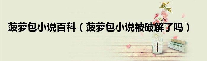 菠萝包小说百科（菠萝包小说被破解了吗）