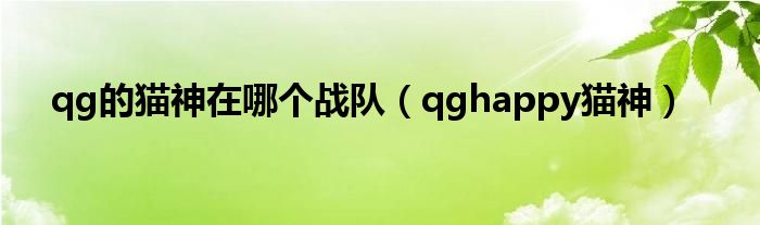 qg的猫神在哪个战队（qghappy猫神）