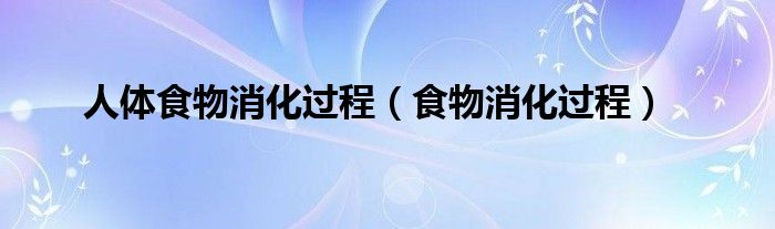 人体食物消化过程（食物消化过程）