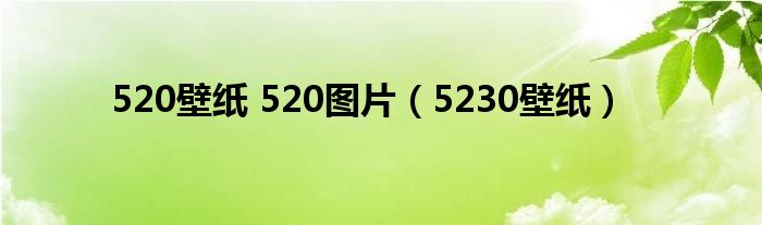 520壁纸 520图片（5230壁纸）
