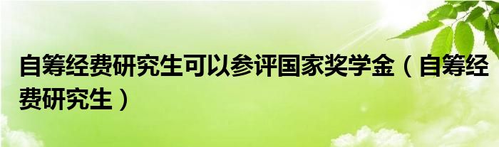 自筹经费研究生可以参评国家奖学金（自筹经费研究生）