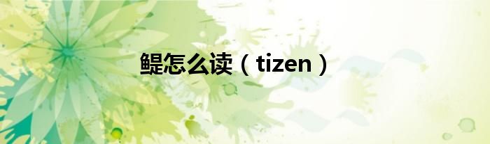 鳀怎么读（tizen）