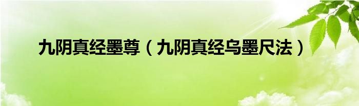 九阴真经墨尊（九阴真经乌墨尺法）