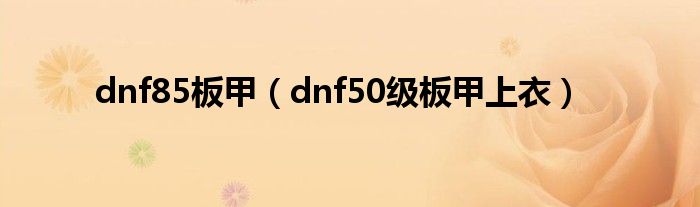 dnf85板甲（dnf50级板甲上衣）
