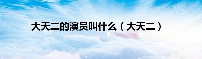 大天二的演员叫什么（大天二）