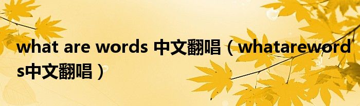 what are words 中文翻唱（whatarewords中文翻唱）