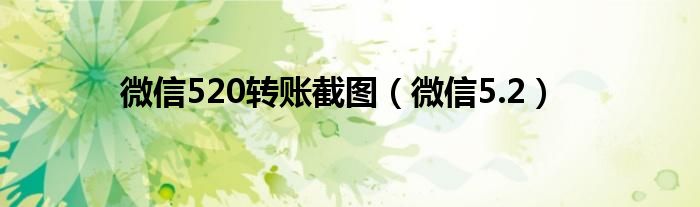 微信520转账截图（微信5.2）