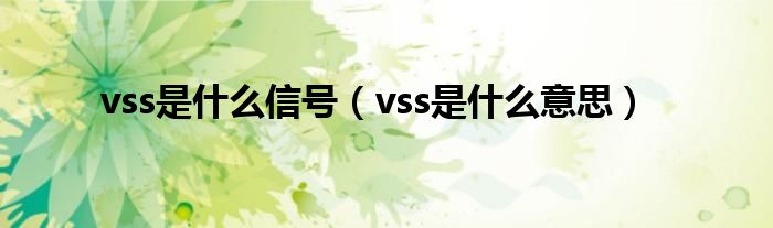 vss是什么信号（vss是什么意思）