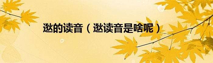 逖的读音（逖读音是啥呢）