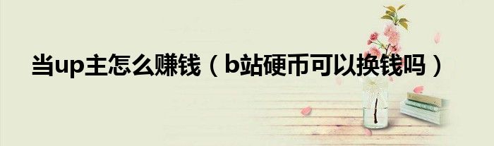 当up主怎么赚钱（b站硬币可以换钱吗）