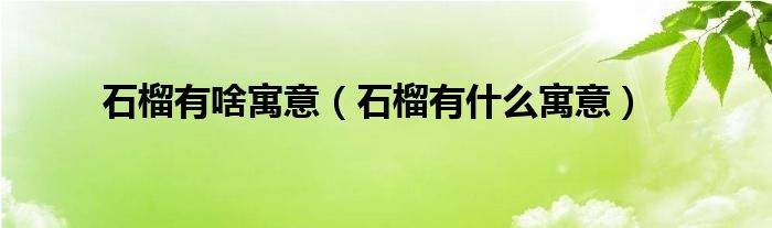 石榴有啥寓意（石榴有什么寓意）