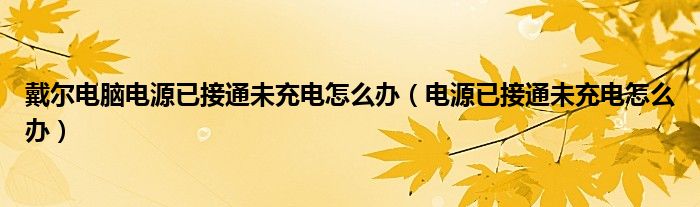 戴尔电脑电源已接通未充电怎么办（电源已接通未充电怎么办）