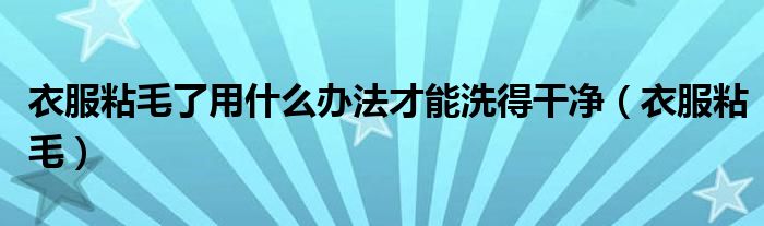 衣服粘毛了用什么办法才能洗得干净（衣服粘毛）