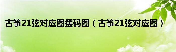 古筝21弦对应图摆码图（古筝21弦对应图）